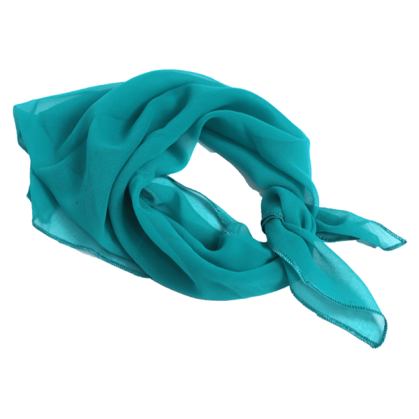 Dark Sea Green Retro Chiffon Scarf Square